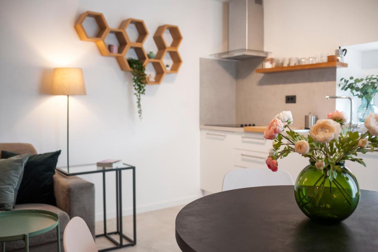 Modern And Cozy Apartments Salt & Pepper In Heart Of Ρόβινι Εξωτερικό φωτογραφία